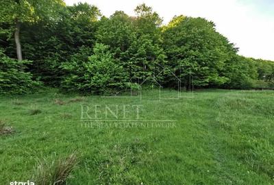 Spațiu comercial, în Bascov