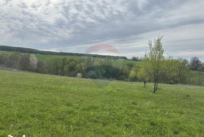 Teren de 3000 mp, în Bodești