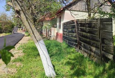 Casa solida cu teren 1081 mp Siria soseaua principala spre Cetate - 9