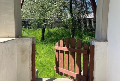 Casă cu 2 camere în Pietroșani - 4