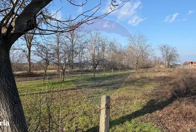 Teren de 2300 mp, în Vânători - 2