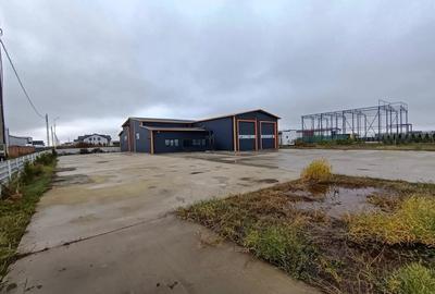 Inchiriere hala service - 3