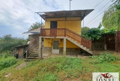 Casa de vanzare/schimb in Blandiana - 9