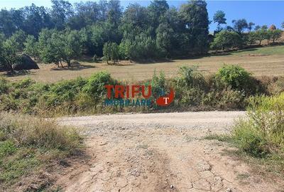 Teren de vanzare 32 ha in Vintu de Jos - 3