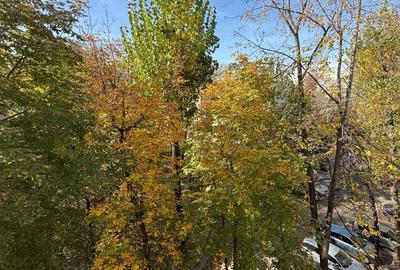 OCAZIE! 84.900 Euro - 3 camere Emil racovita - Aleea Terasei OCAZIE! 84.900 Euro - 3 camere Emil racovita - Aleea Terasei - 5