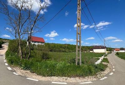 Teren de 1250 mp, în Răscruci - 1
