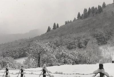 Proprietate in Rasinari - 4