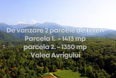Teren intravilan de vanzare- 1413 mp - zona Valea Avrigului - 3