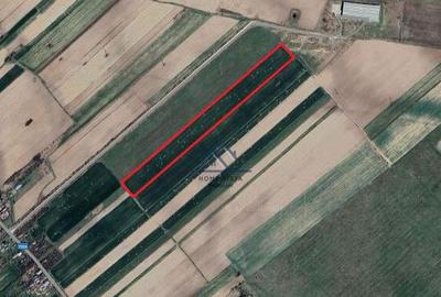 Teren agricol extravilan Rate?ti, Arge? - 3