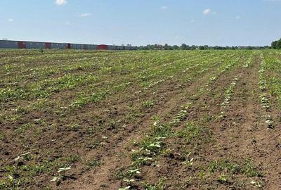 Spațiu comercial, în Afumați - 3