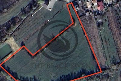 Teren Vanzare 11.000 MP Ghirdoveni | COMISION 0% Teren Vanzare 11.000 MP Ghirdoveni | COMISION 0% - 2