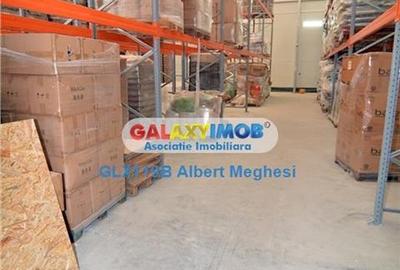 Vanzare hala 400 mp+teren 1500 mp Tunari - 5