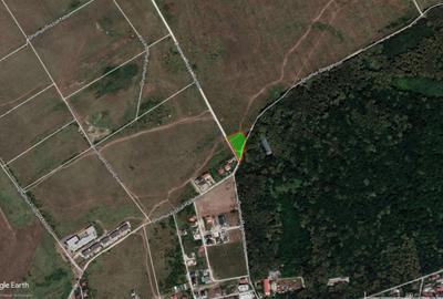 Teren de 3146 mp, în Băneasa - 4