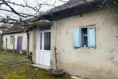 Casă cu Teren 1000 Mp în Căuașd - 1