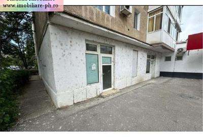 Spatiu comercial de vanzare - Vest - 2