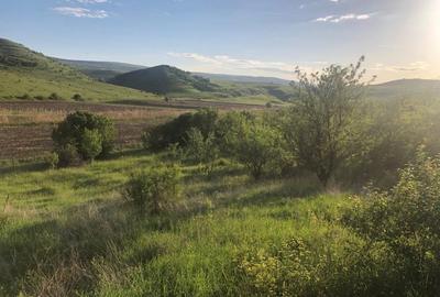 Teren de vanzare intravilan la intrare in Pata 800mp+200mp drum - 1