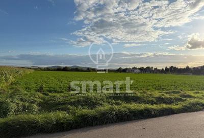 Teren Bistrita Valea Jelnei Teren Bistrita Valea Jelnei - 2