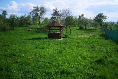 Spațiu comercial, în Central - 1