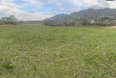 Teren de 5400 mp, în Copalnic - 1