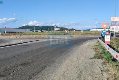 Teren Construcții intravilan de 6000 mp, în Micești - 1