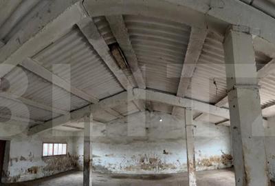 Spațiu comercial, de 740 mp, în Iratoșu - 6