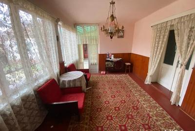 Casa Dalboset, Caras-Severin - 4