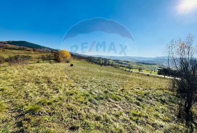 Teren Construcții intravilan de 5325 mp, în Rona de Jos - 3