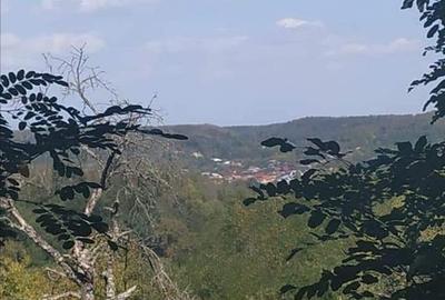 Casa de vanzare la liziera padurii Comuna Boga?i,... - 16