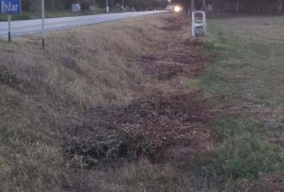 Spațiu comercial, în Cărpiniș - 12