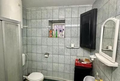 Proprietate mixta de vanzare locuin?a + hala Ta?nad, SM - 2