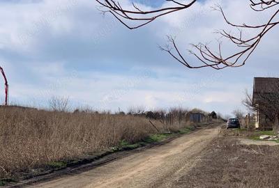 Teren de 420 mp, în Agigea