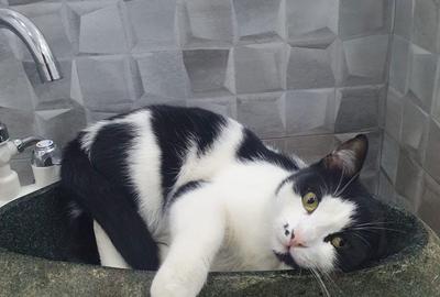 Apartament cu 4 camere decomandat în Brâncoveanu - 13