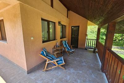 Vila Exclusivista Vetel  pe valea Caoiului-OFERTA SPECIALA DE SARBATORI! - 4