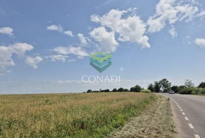 Teren - dezvoltare rezidentiala - Tunari 10.000 mp - 1