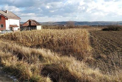 Teren de 750 mp, în Cuzdrioara