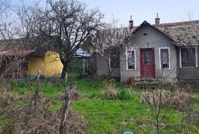 Casă cu 2 camere cu Teren 2000 Mp în Plenița - 4