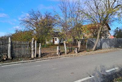 Teren de 3068 mp, în Priseaca - 8