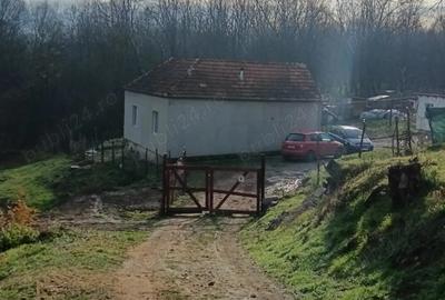 Casa de vinzare gradina ?i un hectar de teren 2 camere baie, coridor beci, bucatarie anexe,exe,, - 4