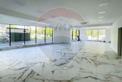 Spațiu comercial, de 162.16999816895 mp, în 13 Septembrie - 3
