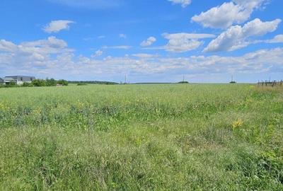 Teren extravilan Tancabesti - 3