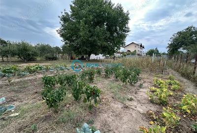 Vanzare vila lipanesti - 3