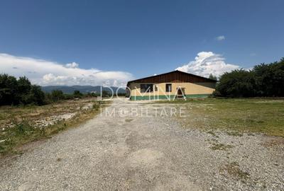 Hala si teren 2,5 ha - infrastructura industriala - 1