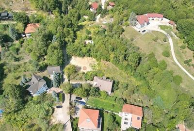 Teren intravilan Brasovul Vechi - 17