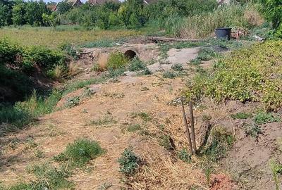 Teren de 2800 mp, în Lovrin - 11