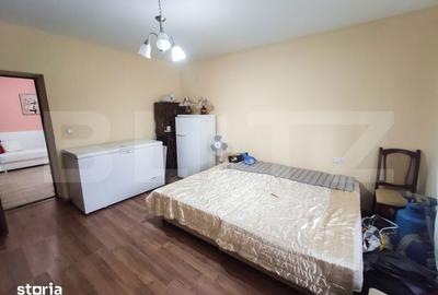 Casă cu 3 camere cu Teren 24000 Mp în Micula - 5