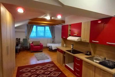 Vinzare pensiune, 380mp construiti, compusa din 4 apartamente independente - 3