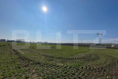 Teren de 7300 mp, în Fălticeni - 1