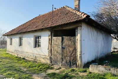 Casă cu 3 camere cu Teren 1000 Mp în Cetariu - 1