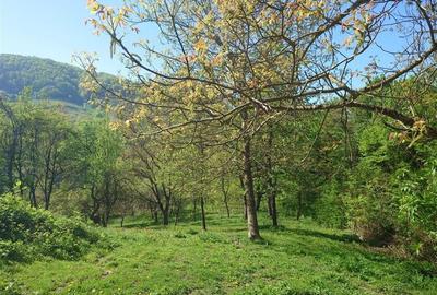 Teren intravilan si cladire in Apuseni, Blajeni, Hd - 11