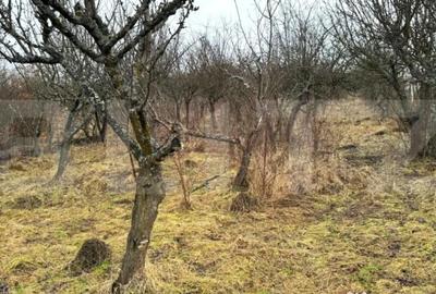 Teren de 2900 mp, în Central - 1